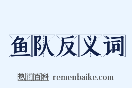 鱼队反义词是什么意思的图片